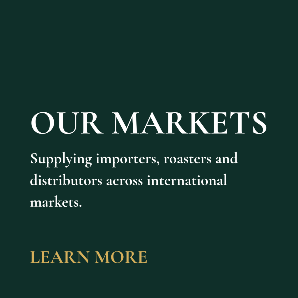 OUR MARKETS HAROSH AND HAROSH